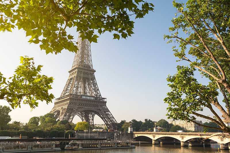 Protège-plaque à induction - Tour Eiffel