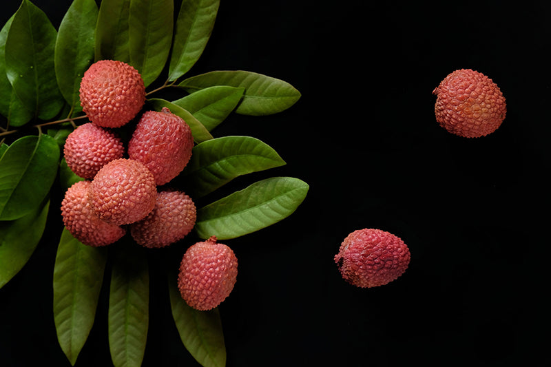 Protège-plaque à induction - Litchi